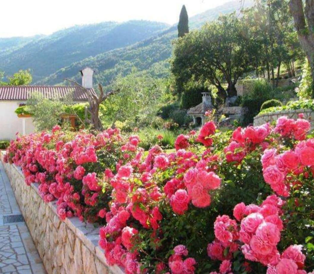 Piccolo Paradiso Martina Dış mekan fotoğraf